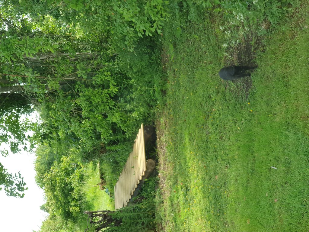 20200606_082313
