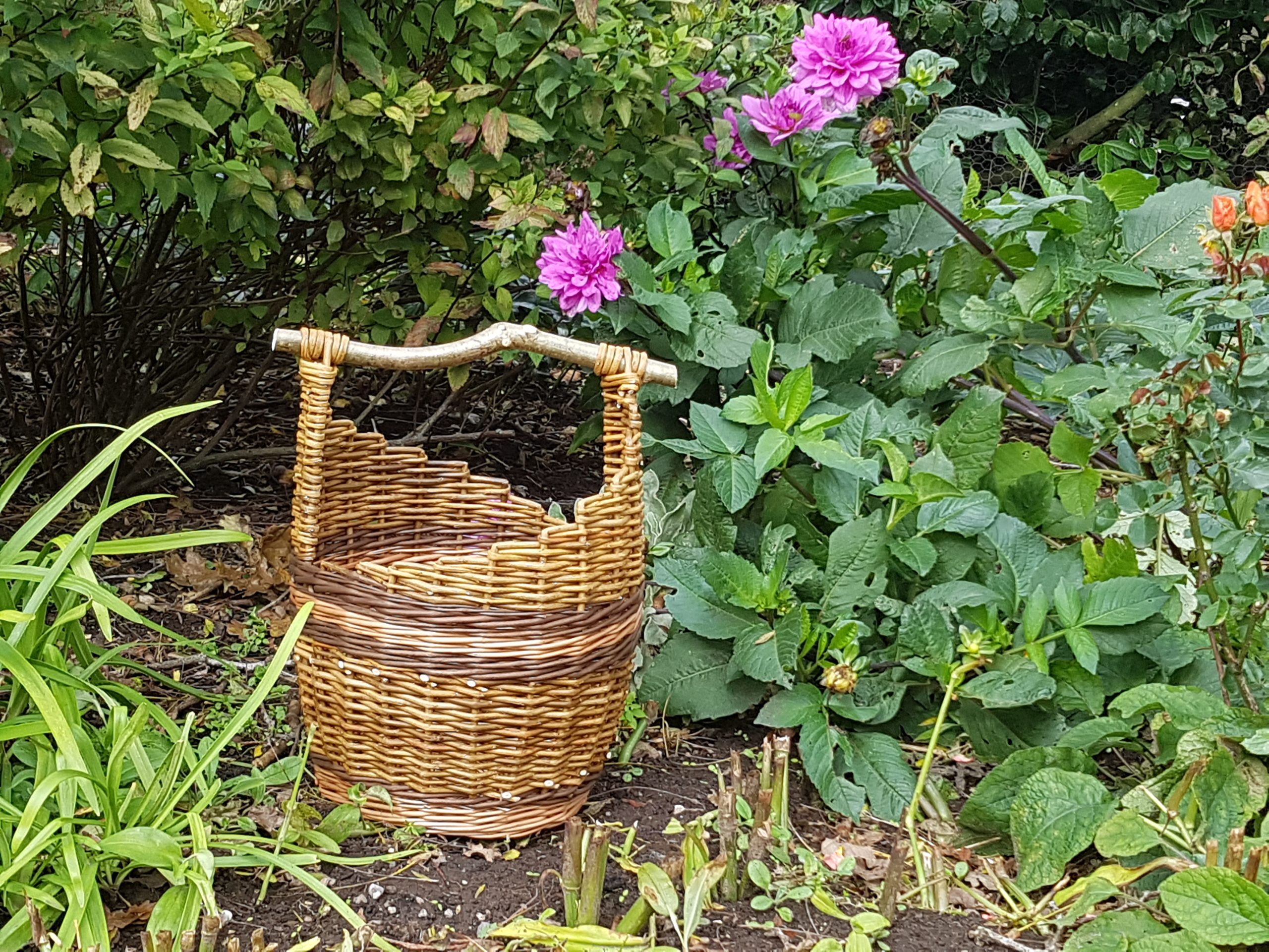 Willow Weaving - Hazel-Handled Basket